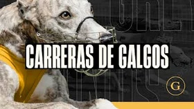 Carreras de galgos